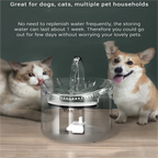 Transparent Smart Automatic Pet Water Dispenser with Filters